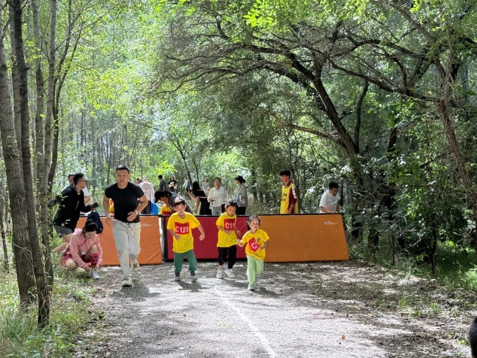 小选手们向, 配合, 与协调性的 小选手们向, 配合, 与协调性的