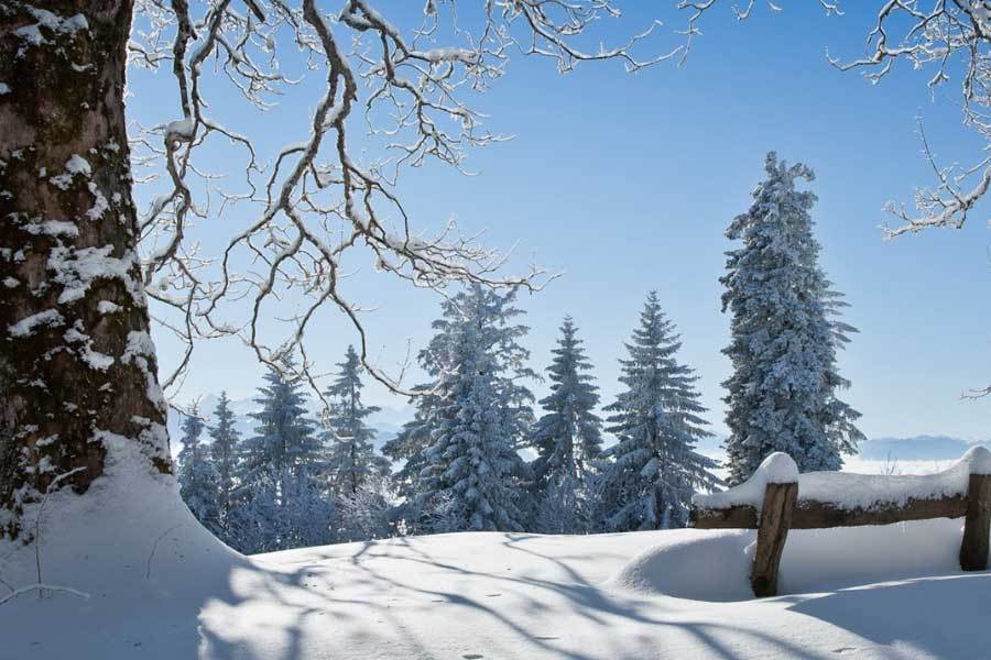 操作型打野 操作型打野